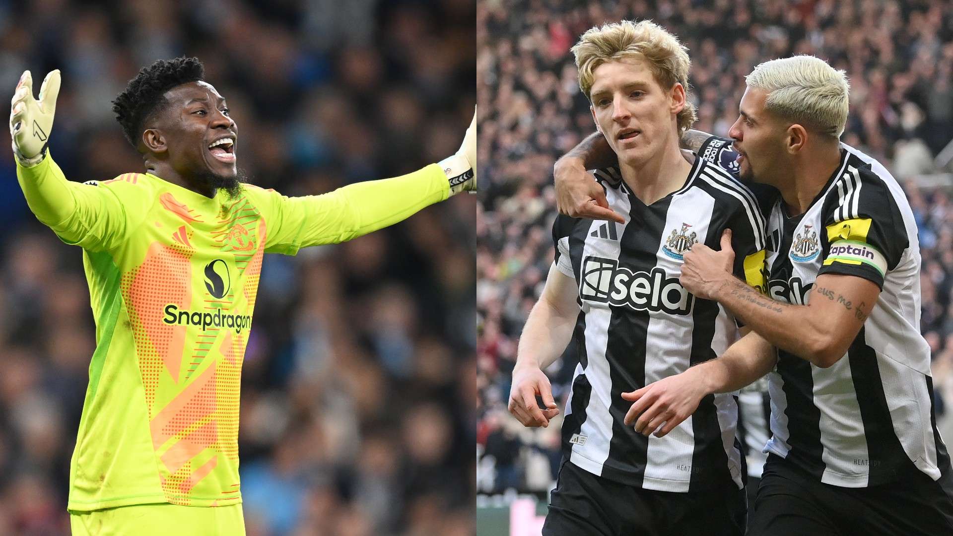 到来的赛季 到来的赛季