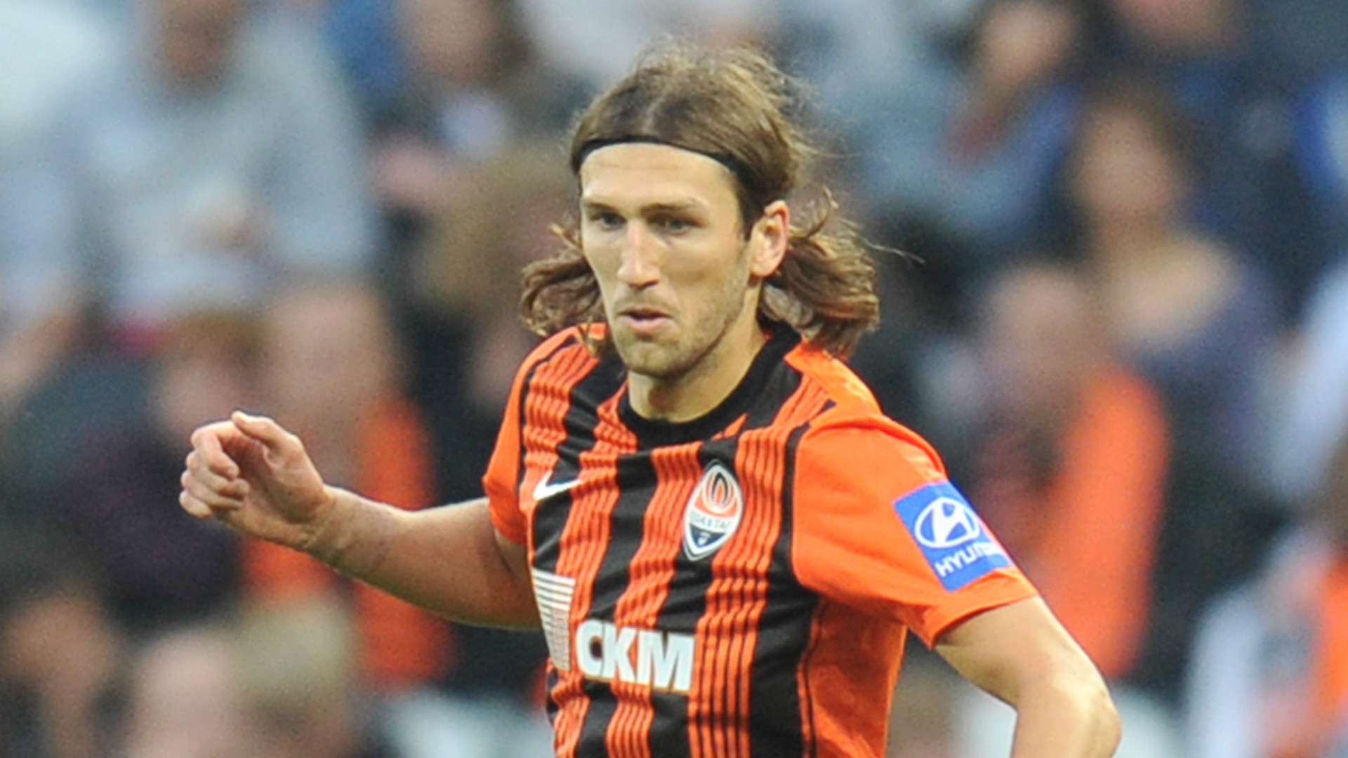 致力于推广 致力于推广