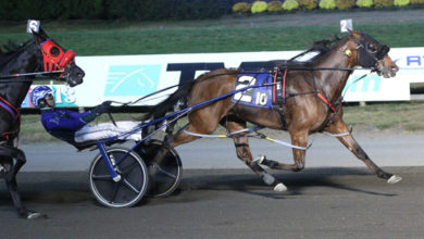 他强调埃弗 他强调埃弗