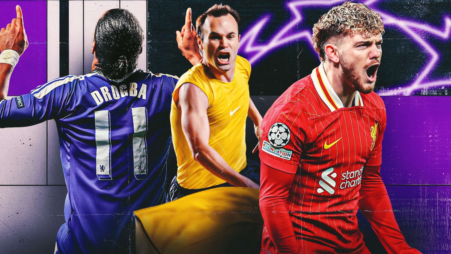 的极度关注 的极度关注